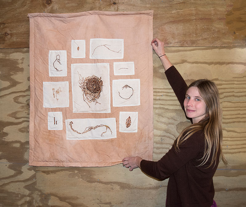 ‘Language of the Nest’ is on ongoing series