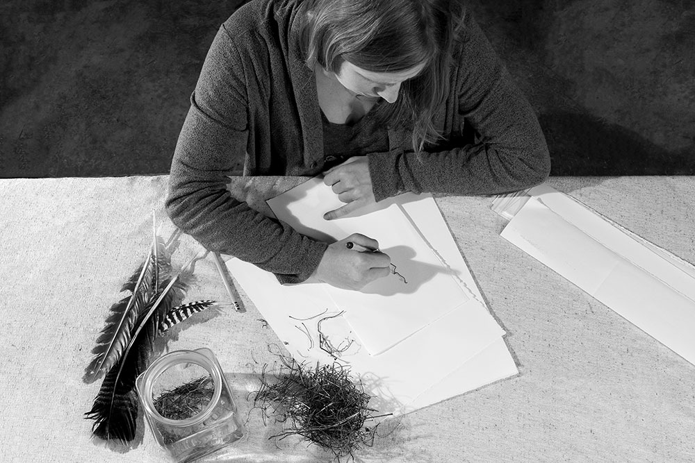 Artist dissects bird's nests, piece by piece