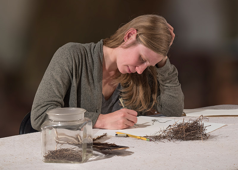 Katie relates most to the obsessive, diligent tasks of building the nest