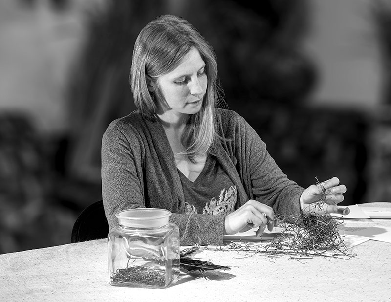 Katie carefully deconstructs the nest to create a visual story