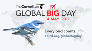 Every Bird Counts So Let’s See How Many Birds We Tally All Together on May 4