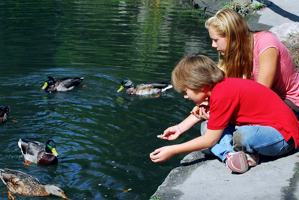 Help children bond with wildlife so they develop an environmental ethic that will remain with them for the rest of their lives