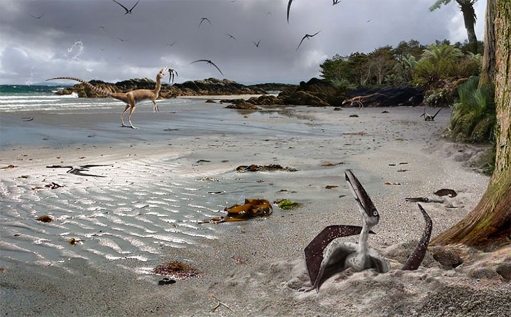 Baby Pterodactyl emerges from the sand