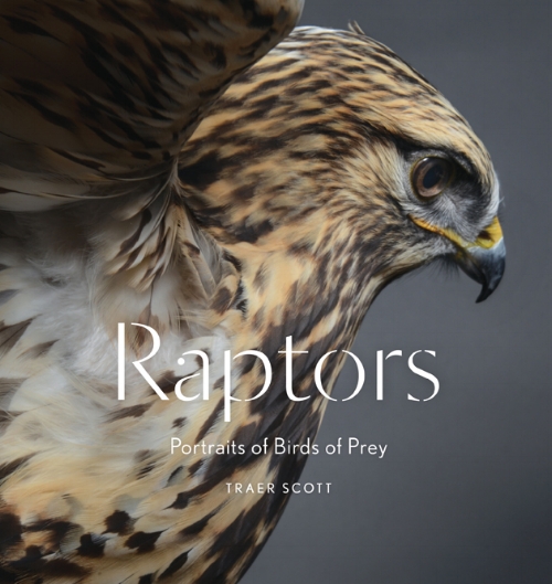 Raptors: Portraits of Birds of Prey is a dramatic collection of photographs of birds of prey taken in the studio
