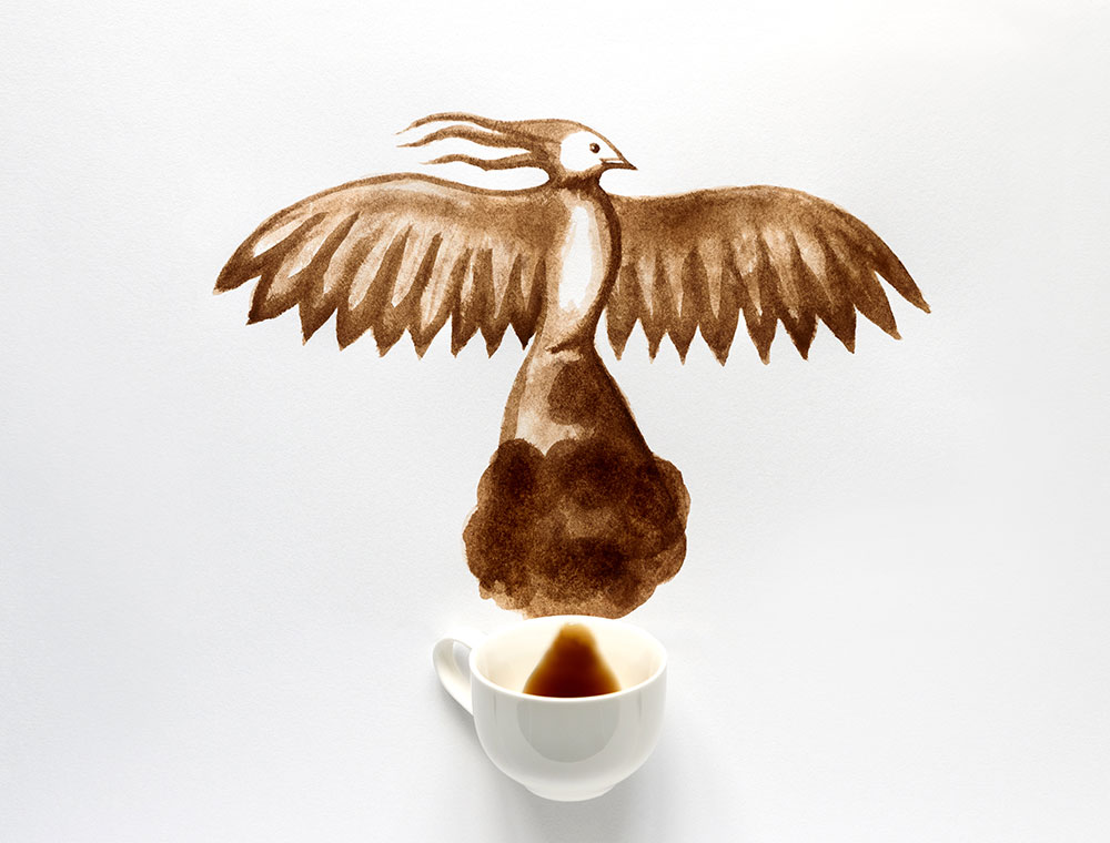 Drinking bird-friendly coffee helps save birds