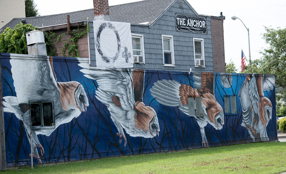 “Flight Sequence” is a magnificent mural in Kingston, NY of a Barn Owl taking flight by Rochester, NY-based muralist Justin Suarez