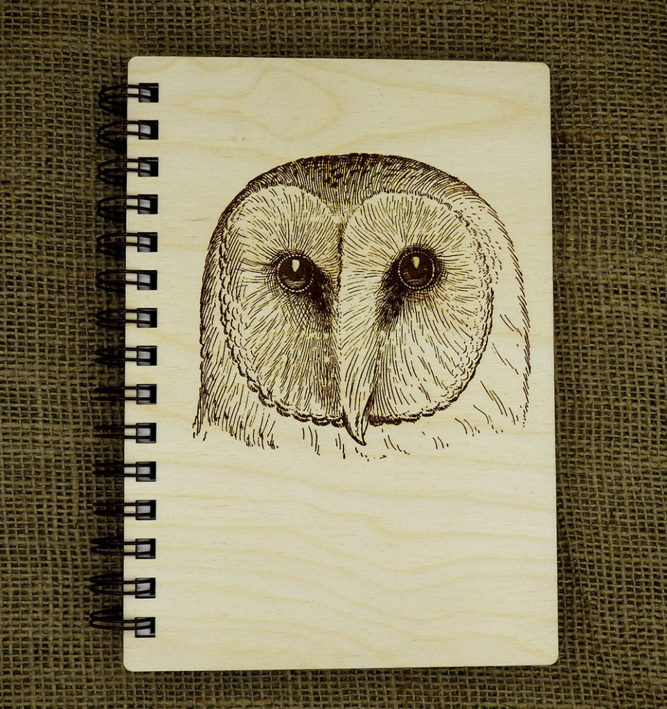 Barn Owls have the most adorable heart-shaped faces