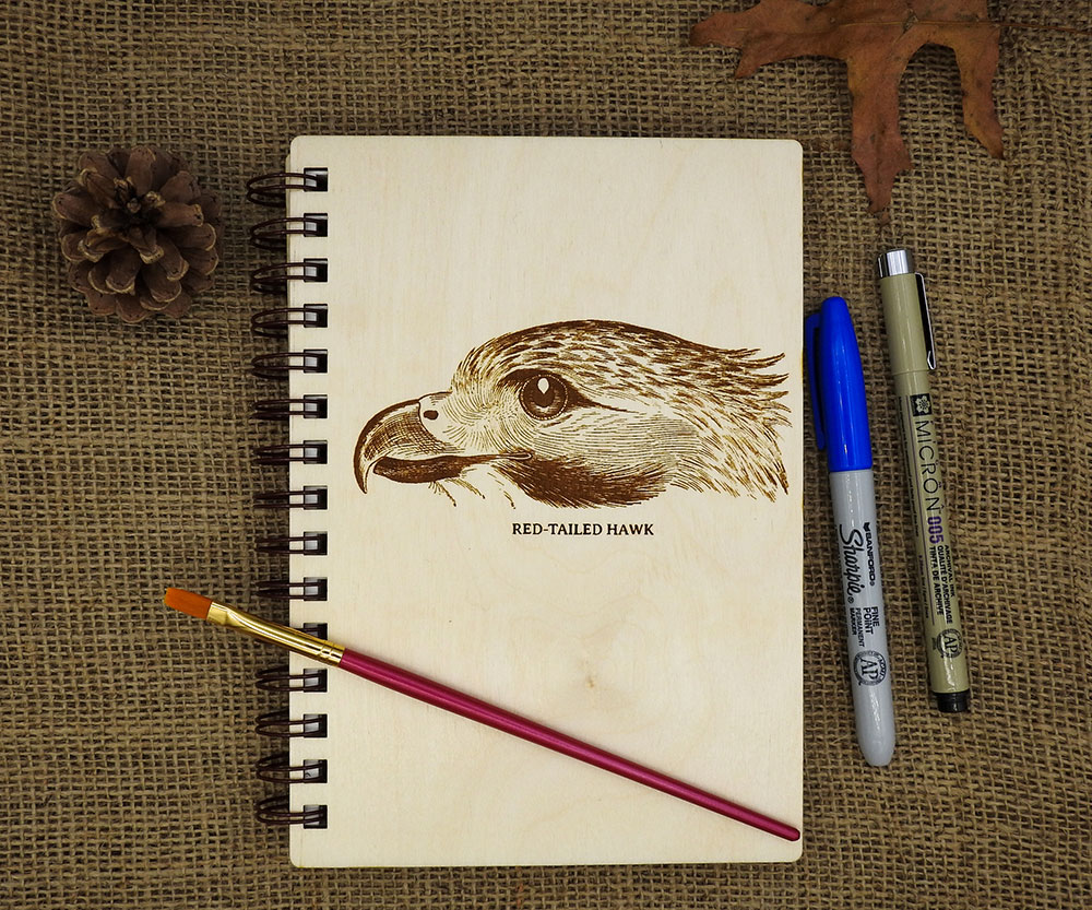 Red-tailed Hawks symbolize the inclination towards using the power of vision and intuition in your daily life.