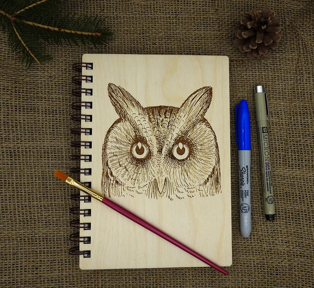 Pay tribute to the smallest owl in North America (Eastern Screech Owl)