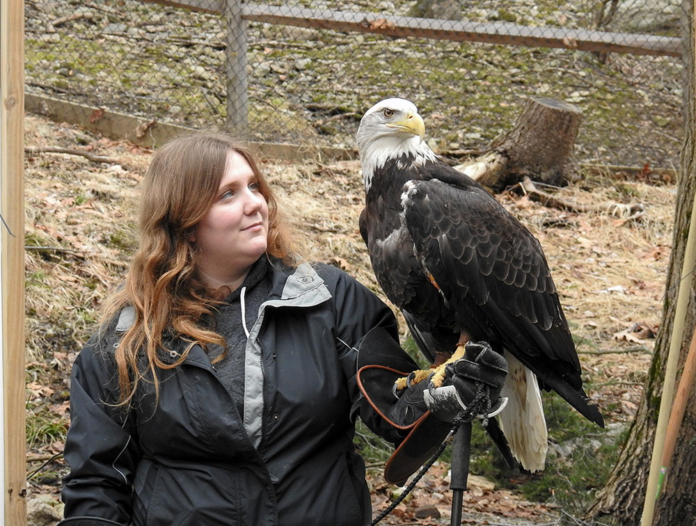 Forget 5k Eagle Vision Rocks Intobirds
