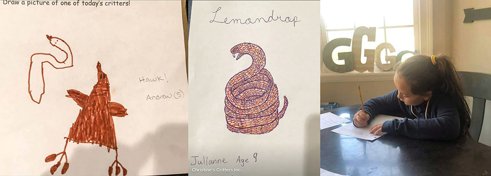 A girl doing her homework assignment from Christine and drawings submitted of viewer's favorite critter