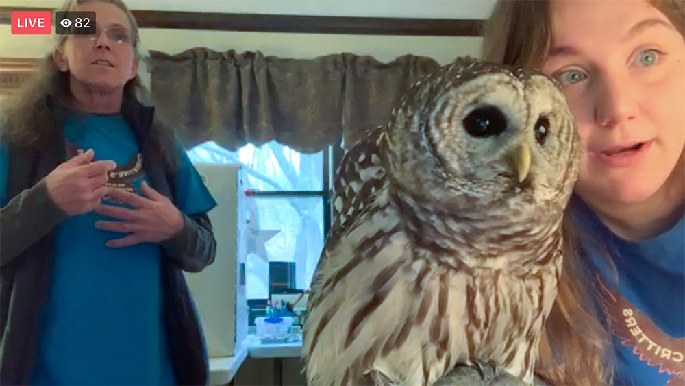Viewers light up Facebook with hearts when Christine introduces Cypress, the Barred Owl