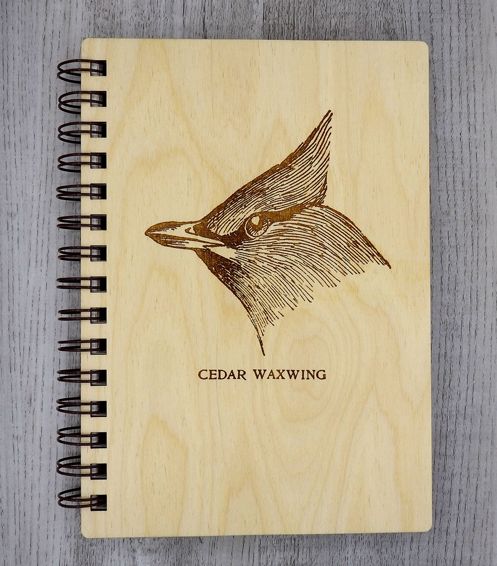 cedar_waxwing_dream_journal_intobird
