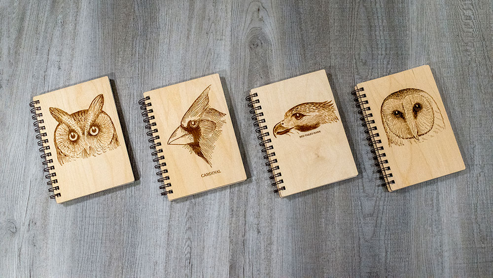 intobirds_dream_journals