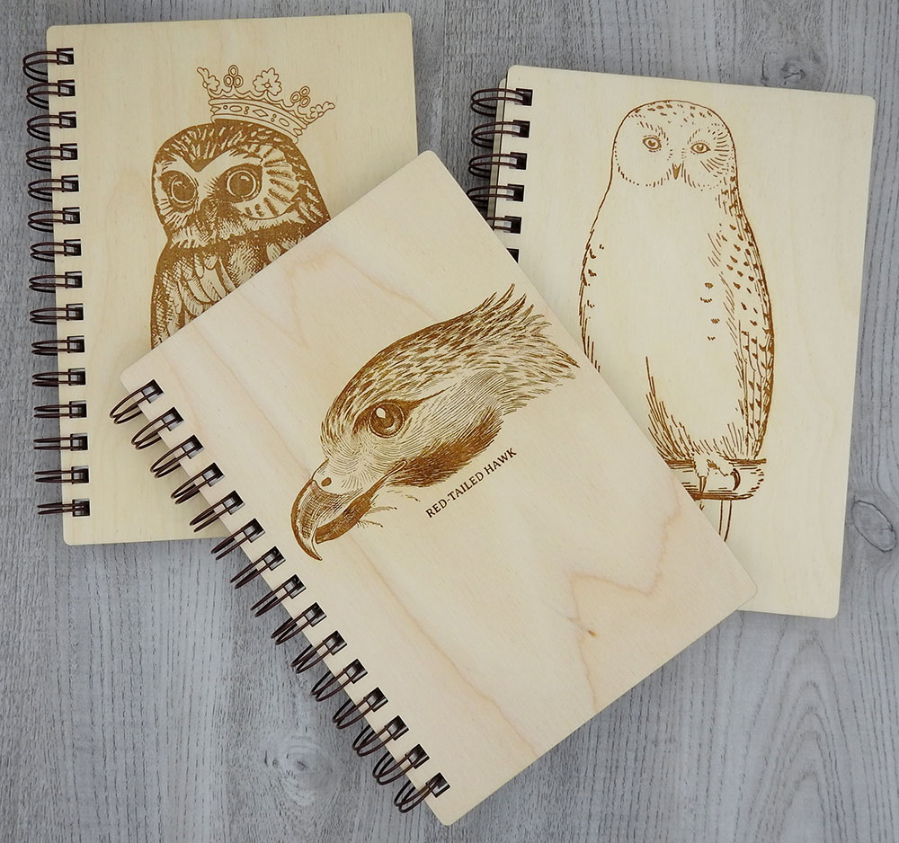 intobirds_dream_journals