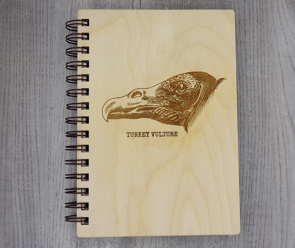 intobirds_turkey_vulture_dream_journal