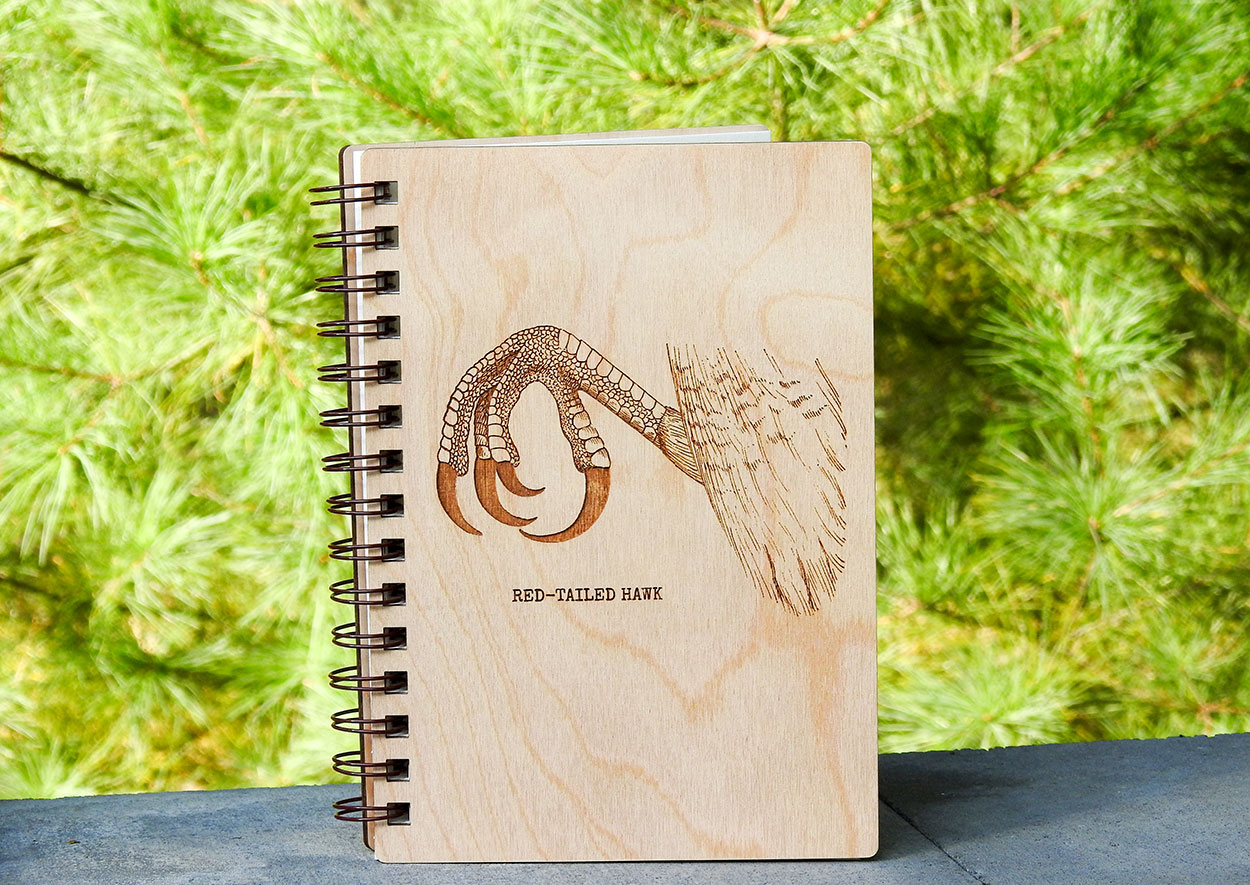 red_tailed_hawk_talon_journal_intobirds