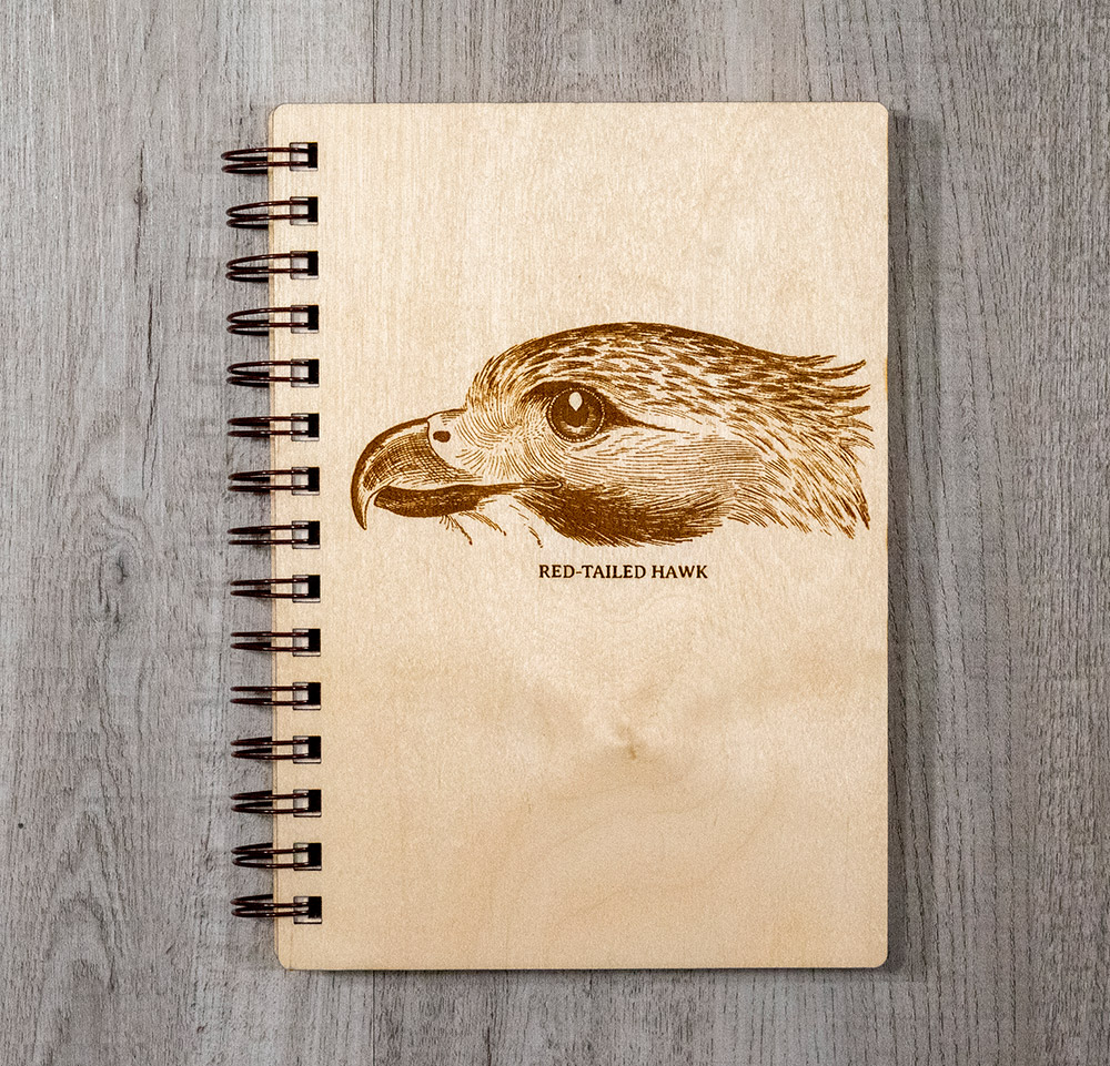 intobirds_red-tailed_hawk_dream_journal