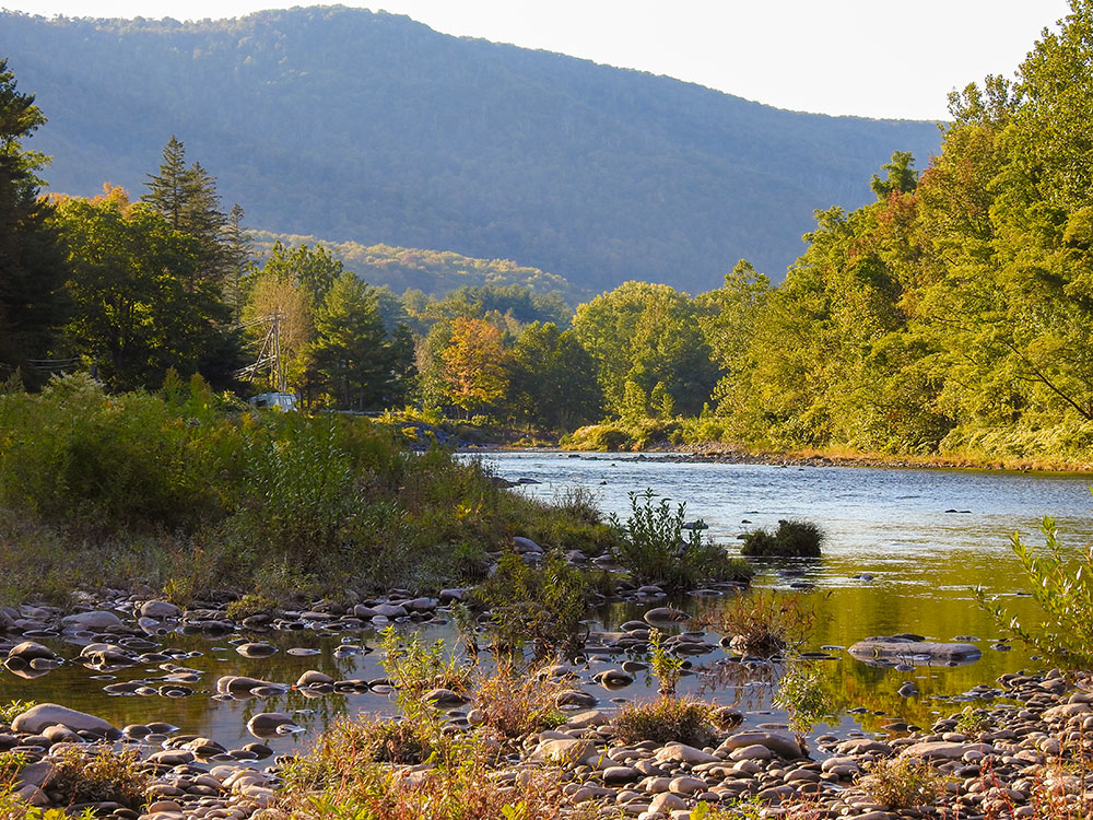 intobirds_mt_tremper_espous_creek