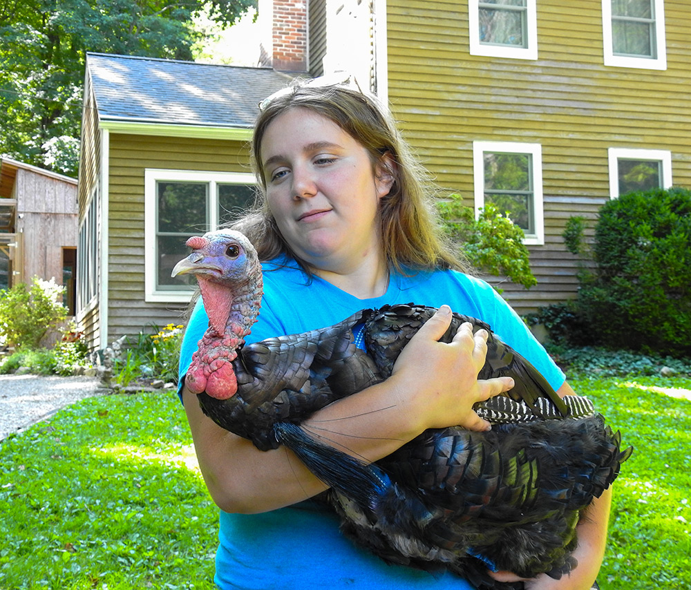 Giving Thanks for the Wild Turkey