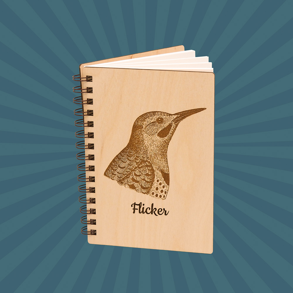 intobirds northern flicker journal