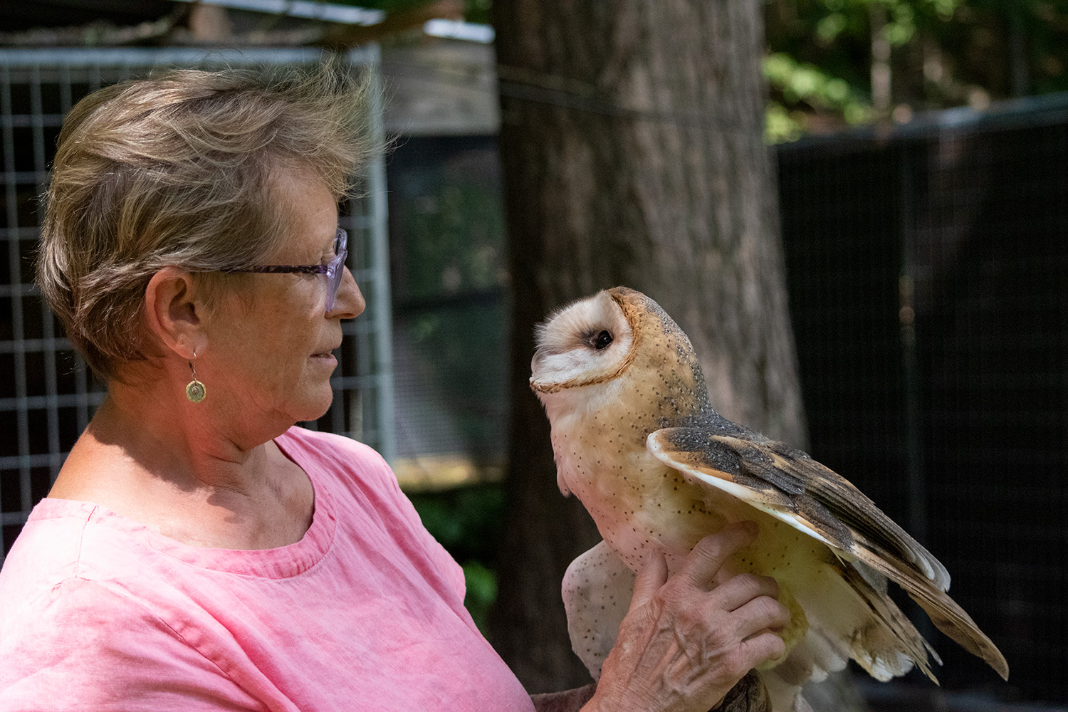 MEET THE OWLS There is - Saugerties Chamber of Commerce